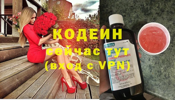 ешки Няндома