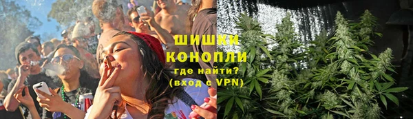 шишки Армянск